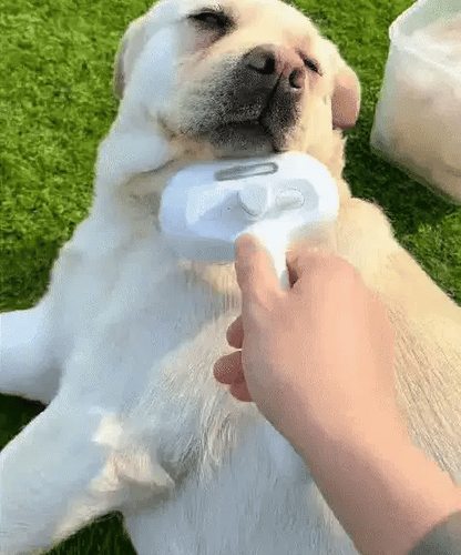 Yagoo™ — Pet Spray Comb